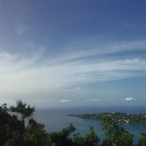 Meet your Posher, Lilly